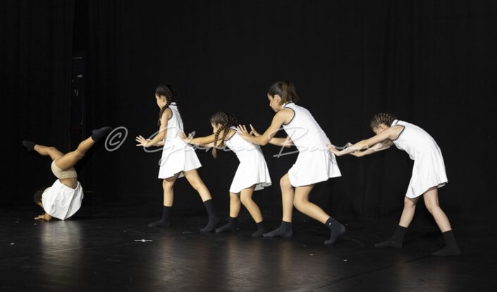 20062025-_B2A2048