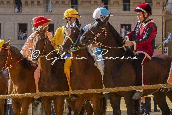 Palio luglio 2026