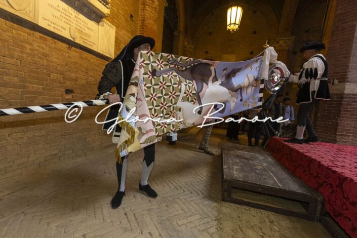 Palio luglio 2026 - presentazione drappellone