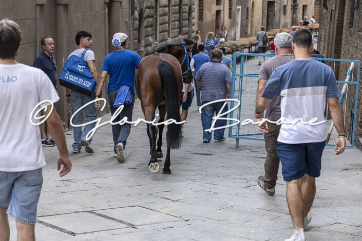 29062026-_B2A0223 - Copia