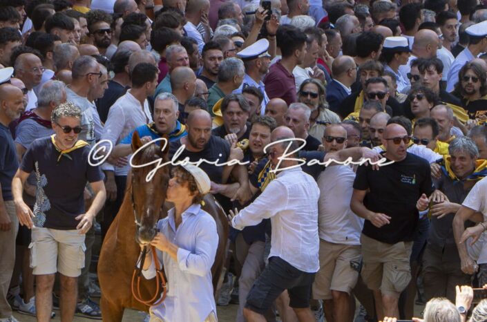 Palio luglio 2026 - assegnazione
