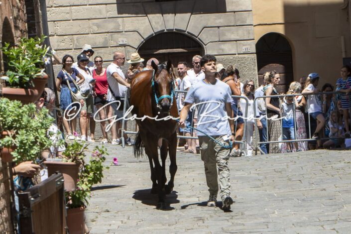 29062026-_Q4A1809