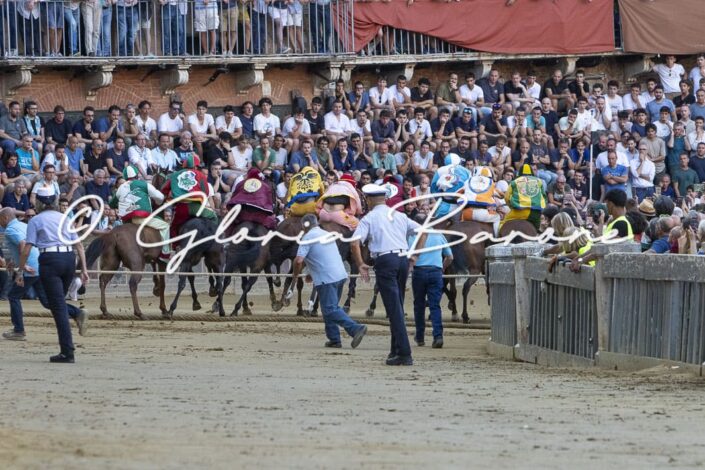 Palio luglio 2026 - terza prova