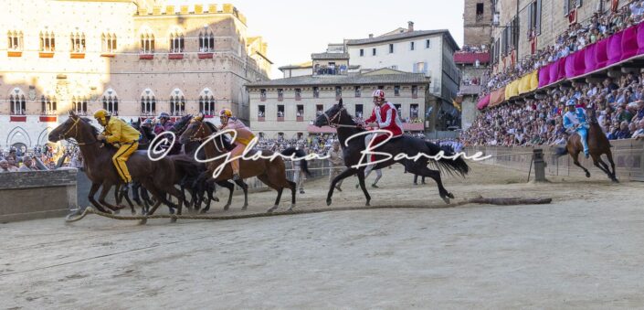 Palio luglio 2026 - corsa