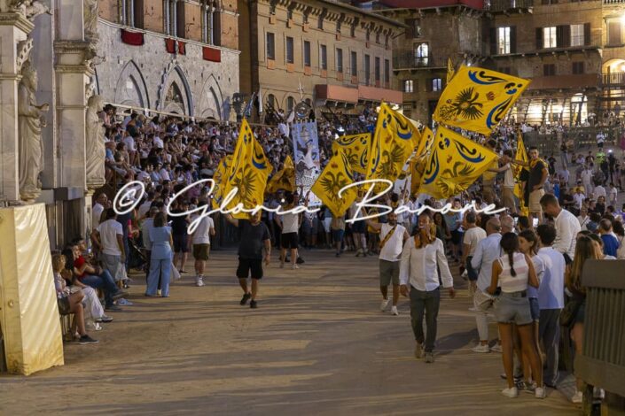 03072026-_B2A6577