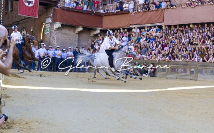 Palio agosto 2026 - tratta