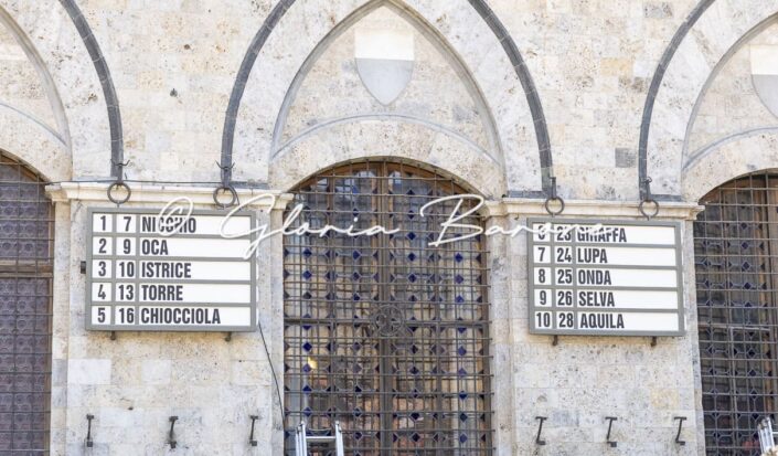 Palio agosto 2026 - assegnazione