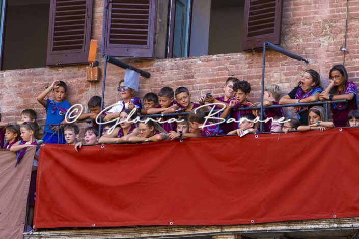 13082026-_Q4A7306