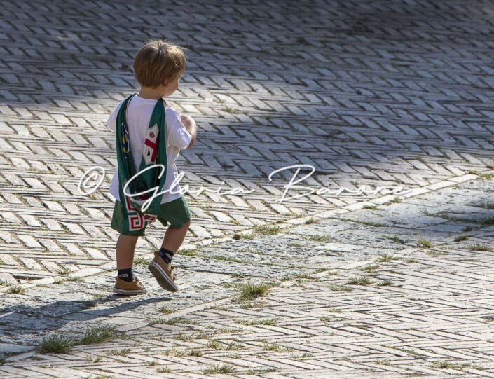 Palio agosto 2026 - Provaccia