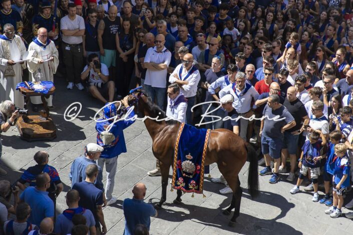 Palio agosto 2026 - Benedizione del cavallo