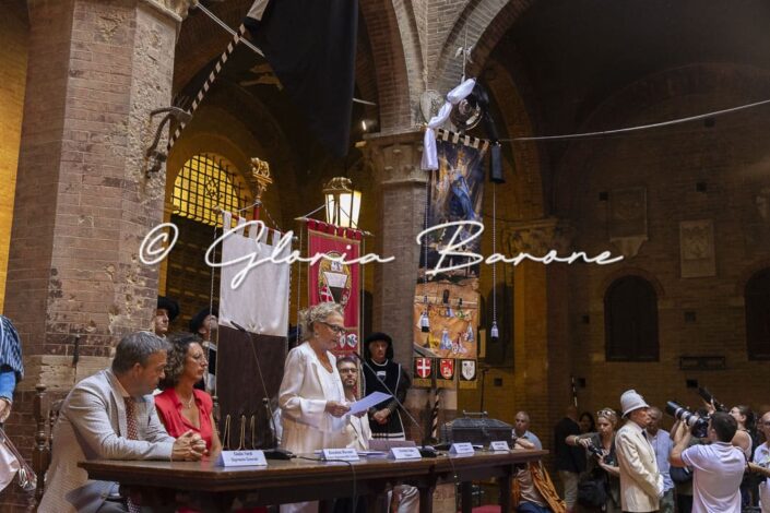 Palio agosto 2026 - presentazione drappellone